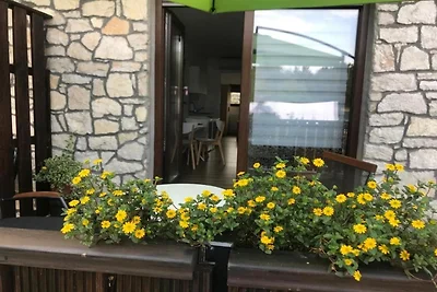 Guesthouse Family Bosnic -One bedroom apartme...