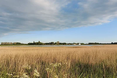 Meereszauber in Boged-By Traum