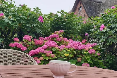Ferienhaus mit 3 Schlafzimmer