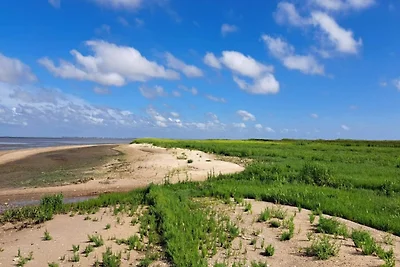5 Personen Ferienhaus in Rømø-By Traum