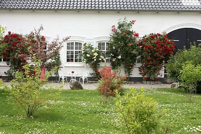 Reinhardt 2 Comfortabele vakantiewoning