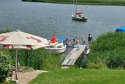 Waterküken am Bootssteg