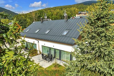 Komfortable Villa in Cerny Dul mit Sauna