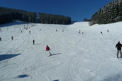 Mooi vakantiehuis bij het skigebied