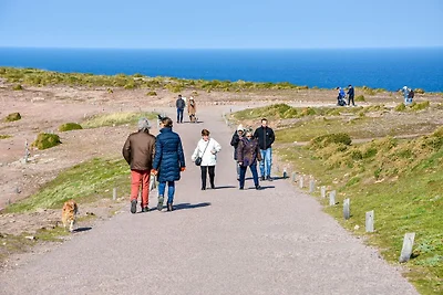 Küstenrefugium in Plurien