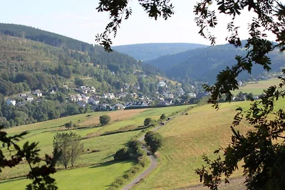 Appartement in Willingen bij skipistes