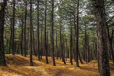 Rifugio accogliente a Rorvig Haven-By Traum