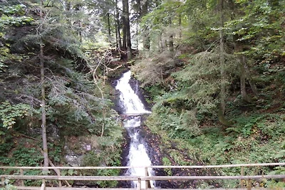 Haus am Alten Kurpark