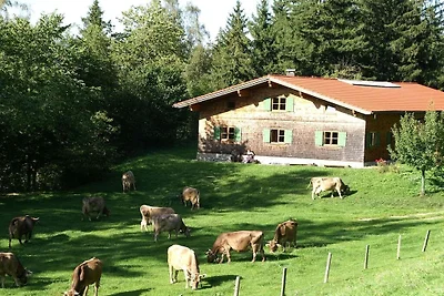 Arnika auf dem Berghof Lingg