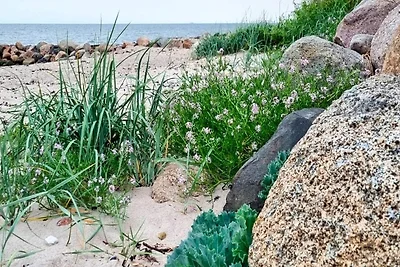 10 Personen Ferienhaus in Slagelse