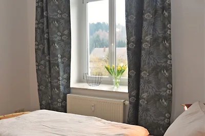 Hübsche Wohnung mit Terrasse bei Borstendorf