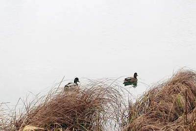6 Personen Ferienhaus in Otterndorf