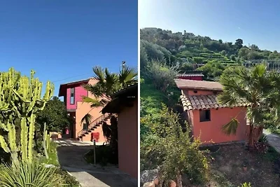 Case su una collina circondata da ulivi