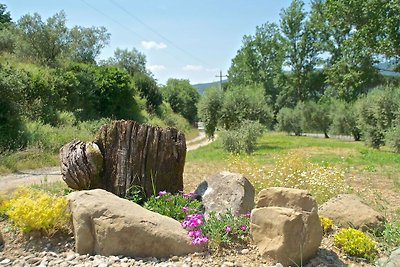 Angenehme Villa in Cortona mit privatem Pool