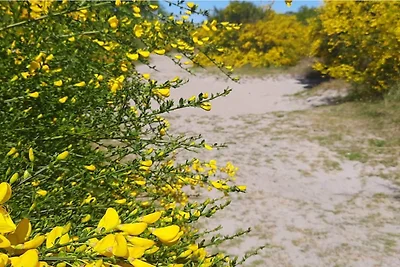 5 Personen Ferienhaus in Rørvig-By Traum