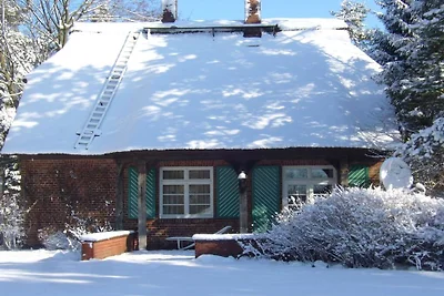 Ferienhaus in Essel mit Schwimmbecken