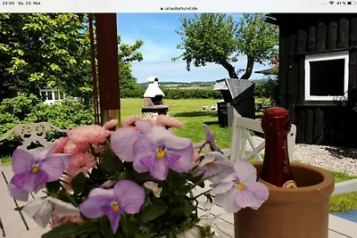 Landhaus Kühren ****