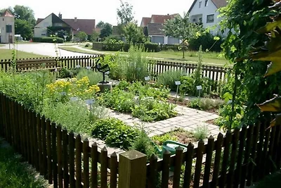 Auf dem Ferienhof Albig