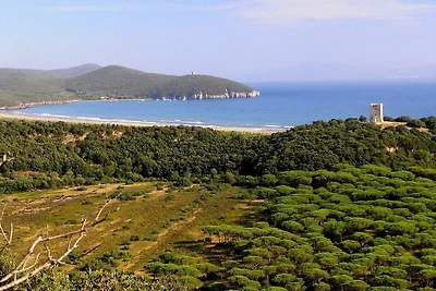 Ferienwohnung mit 1 Schlafzimmer