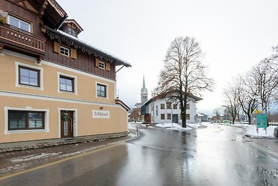 Traditioneel chalet bij het skigebied