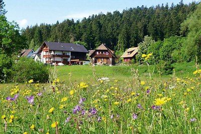 Kienberg - Landhuis Anja