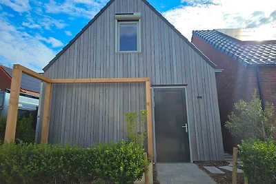 Vakantiehuis in Domburg met zwembad