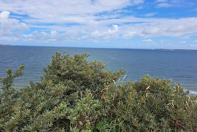 7 persoons vakantie huis in Struer-By Traum