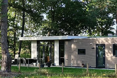 Ferienhaus in RW Haarle mit Barbecue