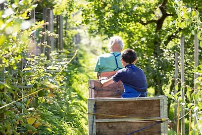 Appartamento per vacanze a Merano con piscina