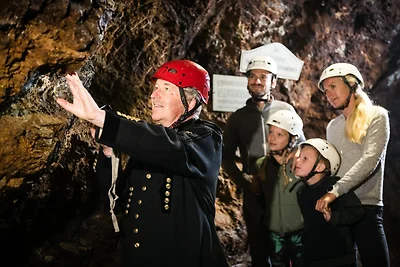 Wohnung in Saalfelden nahe Skipisten