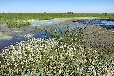 4 Sterne Ferienhaus in Præstø-By Traum