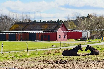 6 persoons vakantie huis in Väröbacka