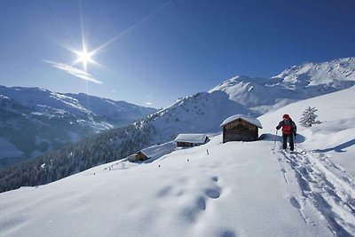 Luxuriöse Ferienwohnung nahe vier Skiliften i...