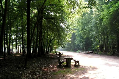 Cordelia Lodge mit Garten und Picknickbereich