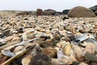 8 Personen Ferienhaus in Blåvand