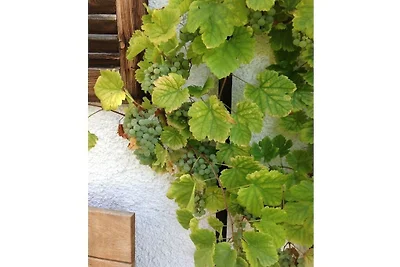 Appartamento per le vacanze con 2 camere da...