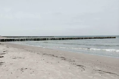 Boddensurfer 3a