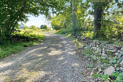 6 Personen Ferienhaus in BORGHOLM