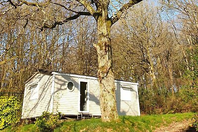 Schönes Chalet mit Mikrowelle in den Ardennen