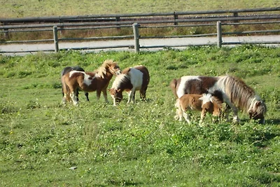 Winnewieser Hof