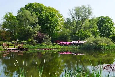 Ferienhaus in Trebel mit Schwimmbecken