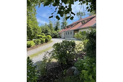 Mountain View Deluxe