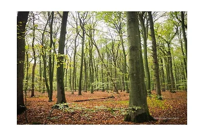 Wohnung in Ihlow mit Schwimmbecken