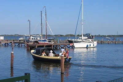 Gemütliches Ferienhaus am Slotermeer