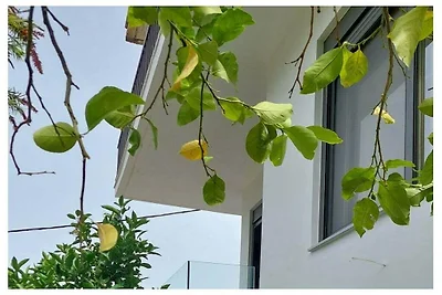 Ferienwohnung Lagoudis, Kitries