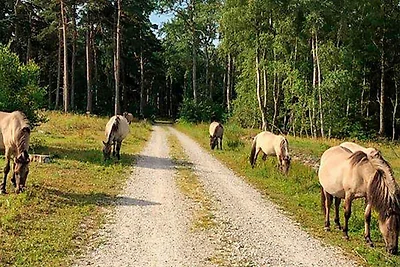 5 persone case ad Væggerløse