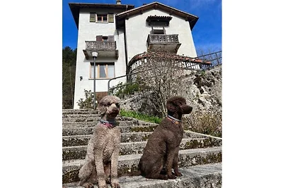 Villa Emma in Pieve am Ledrosee