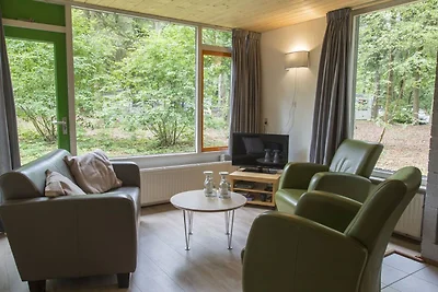 Bungalow ordinato vicino al Veluwe
