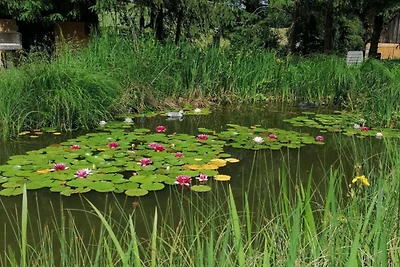 Landelijk gelegen vakantiehuis op de...
