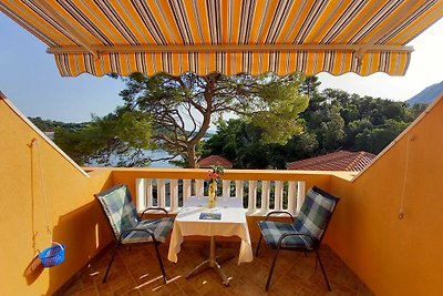 Apartments Vinko Mljet- One-Bedroom Apartment...